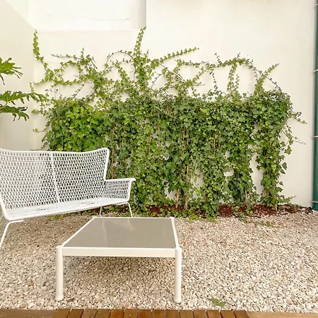 Machadinho Modern
